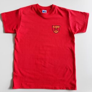Llanbedr Primary School PE t-shirt