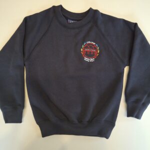 Camau Bach/Little Steps pre school navy sweater